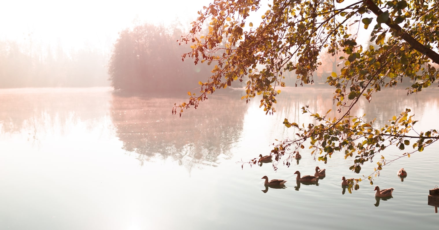 Domaine du château vert, camping dans l'Oise